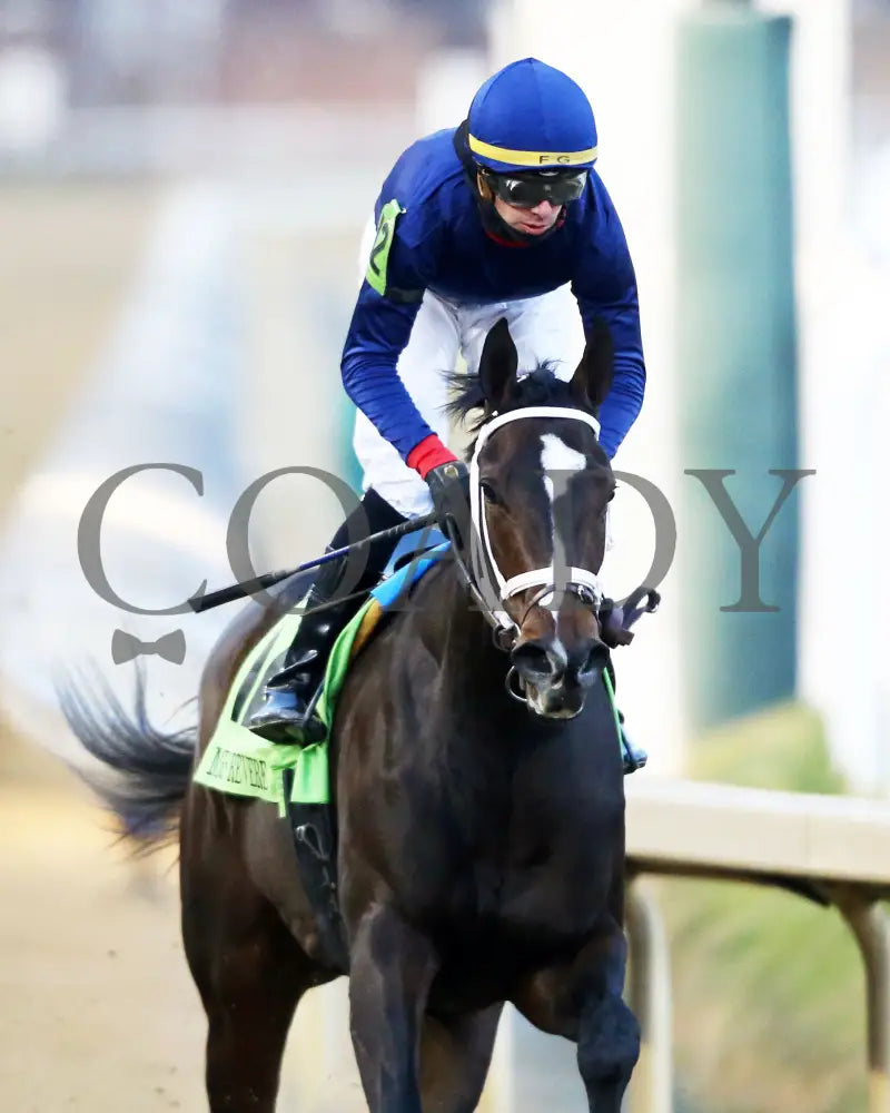 Heavenly Sunday - The Mrs. Revere G2 32Nd Running 11-24-23 R10 Cd Gallop Out 02 Churchill Downs