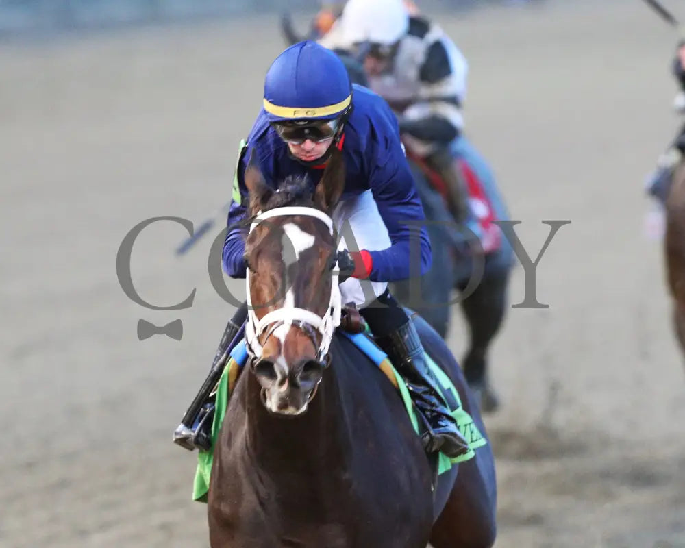 Heavenly Sunday - The Mrs. Revere G2 32Nd Running 11-24-23 R10 Cd Inside Finish 02 Churchill Downs