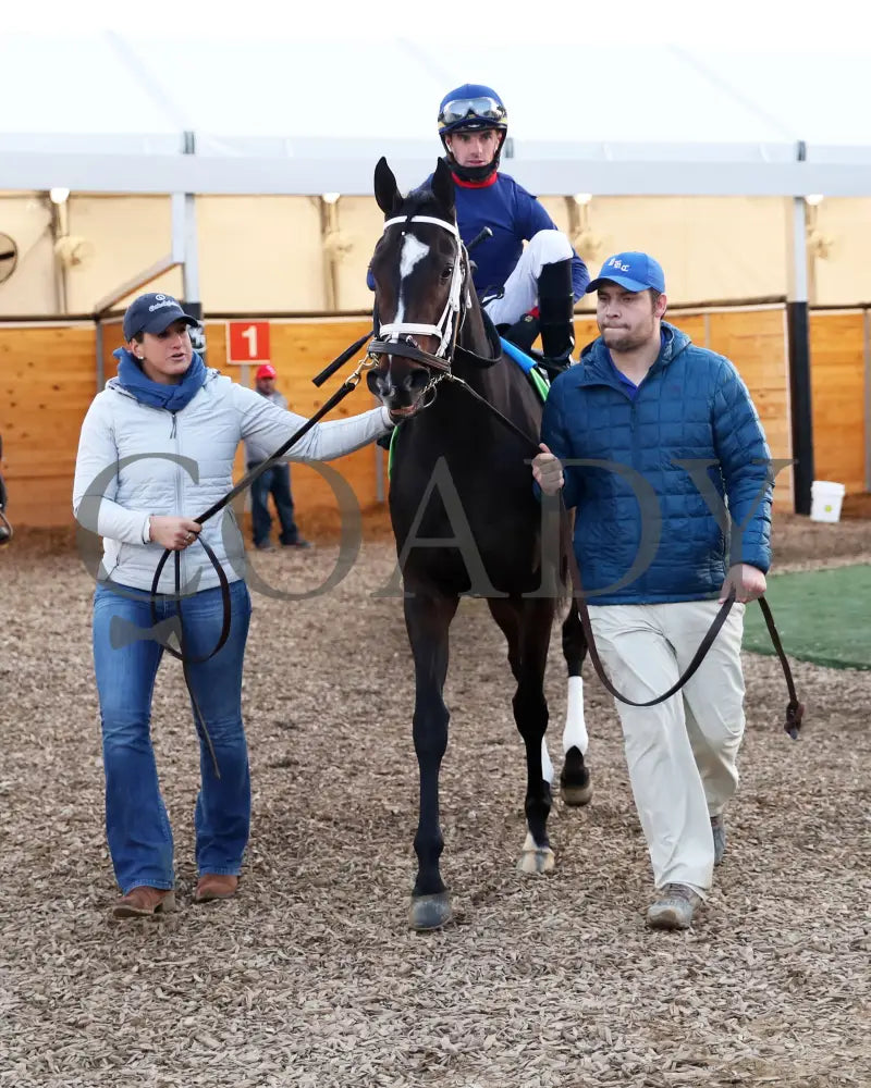 Heavenly Sunday - The Mrs. Revere G2 32Nd Running 11-24-23 R10 Cd Paddock 01 Churchill Downs
