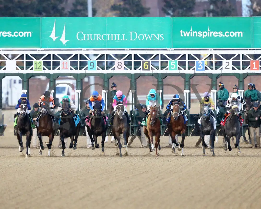 Heavenly Sunday - The Mrs. Revere G2 32Nd Running 11-24-23 R10 Cd Start 01 Churchill Downs