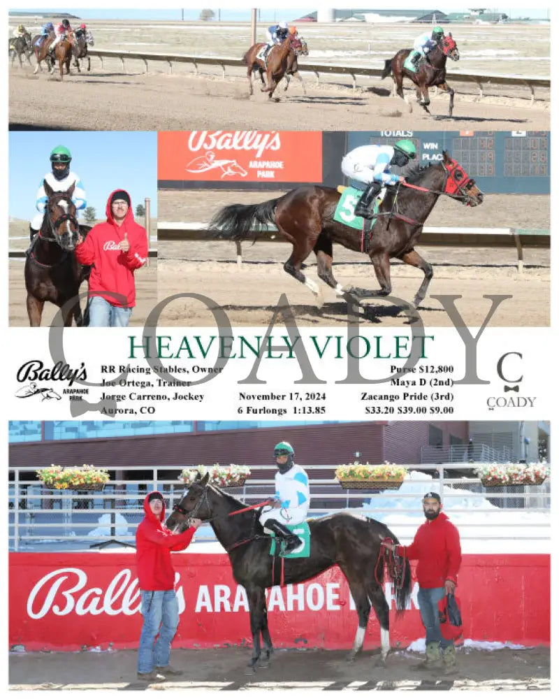 Heavenly Violet - 11-17-24 R01 Arp Arapahoe Park