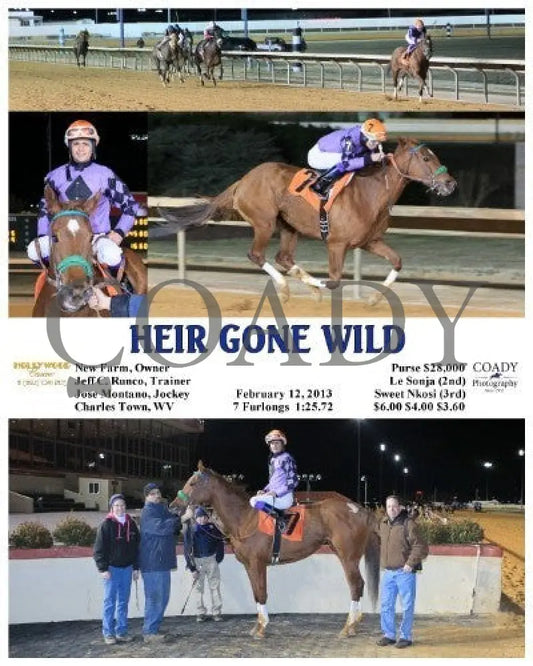 Heir Gone Wild - 021213 Race 07 Ct Hollywood Casino At Charles Town Races