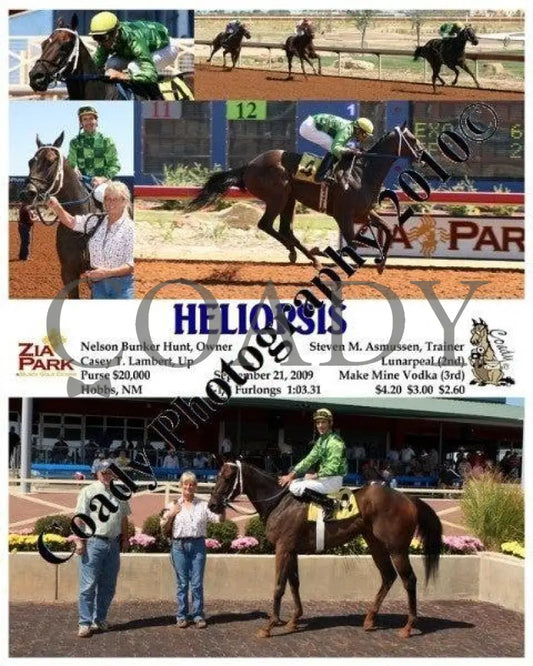 Heliopsis - 9 21 2009 Zia Park