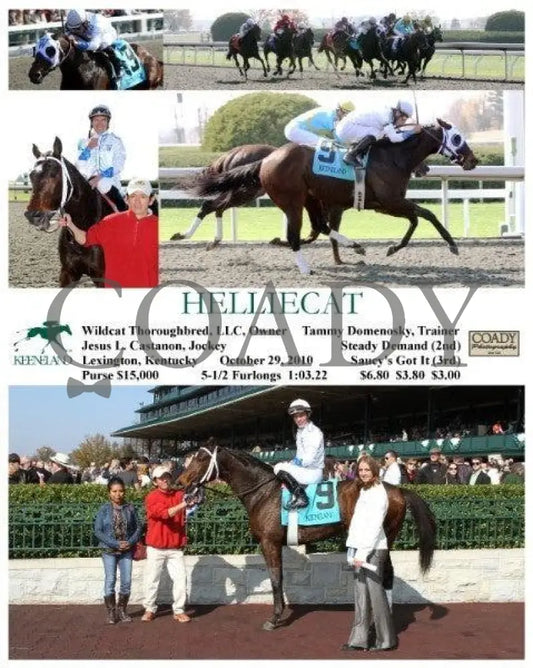 Helliecat - 102810 Keeneland