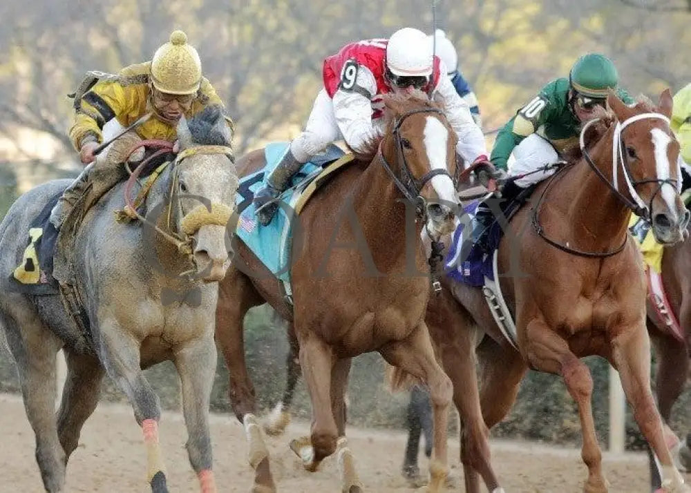 Hello Again - The Dixie Belle Stakes 31St Runnin Oaklawn Park