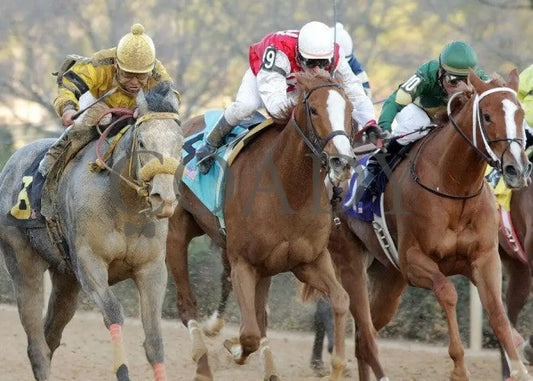 Hello Again - The Dixie Belle Stakes 31St Runnin Oaklawn Park