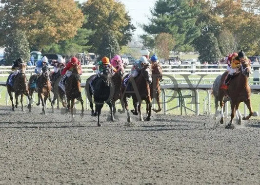 Hennyville Slugger - 1 102211 Race 06 Keeneland