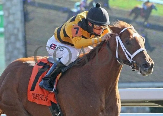 Hennyville Slugger - 2 102211 Race 06 Keeneland