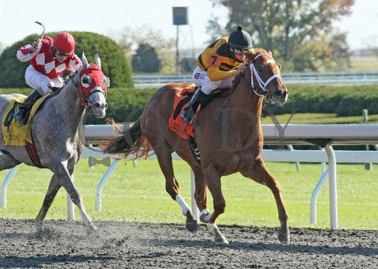 Hennyville Slugger - 3 102211 Race 06 Keeneland