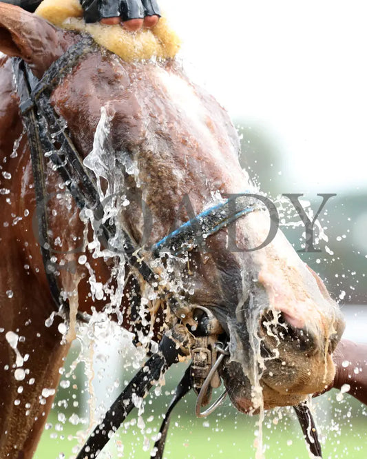 Henro - The Harrods Creek 09-21-24 R09 Cd Come Back 01 Churchill Downs