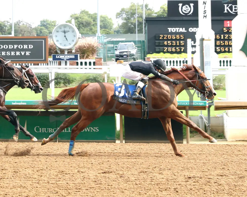 Henro - The Harrods Creek 09-21-24 R09 Cd Finish 01 Churchill Downs
