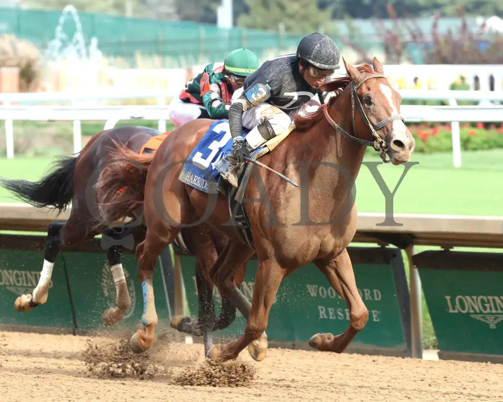 Henro - The Harrods Creek 09-21-24 R09 Cd Finish 02 Churchill Downs