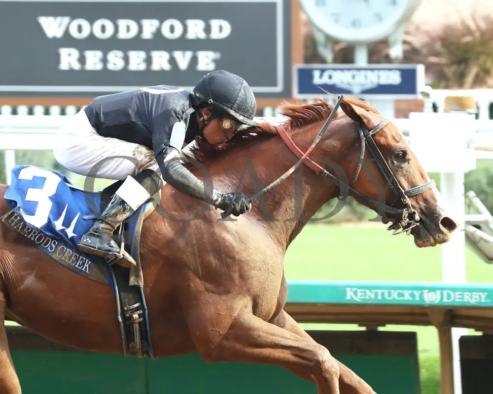 Henro - The Harrods Creek 09-21-24 R09 Cd Finish 03 Churchill Downs