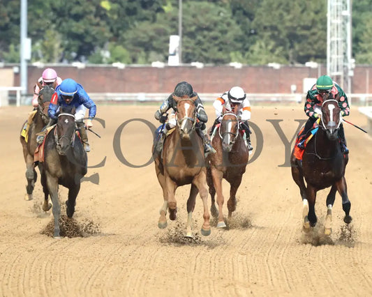 Henro - The Harrods Creek 09-21-24 R09 Cd Head On 01 Churchill Downs