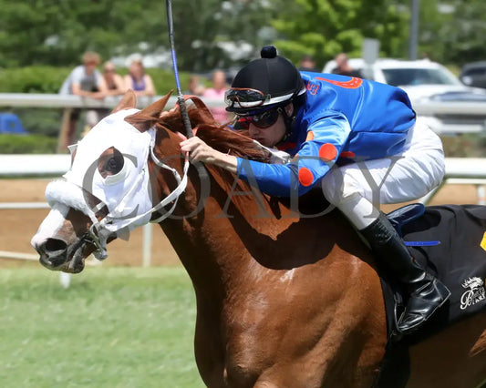 Henry Mac - Sydney Gendelman Stakes 06-07-24 R05 Btp Inside Finish 01 Belterra Park