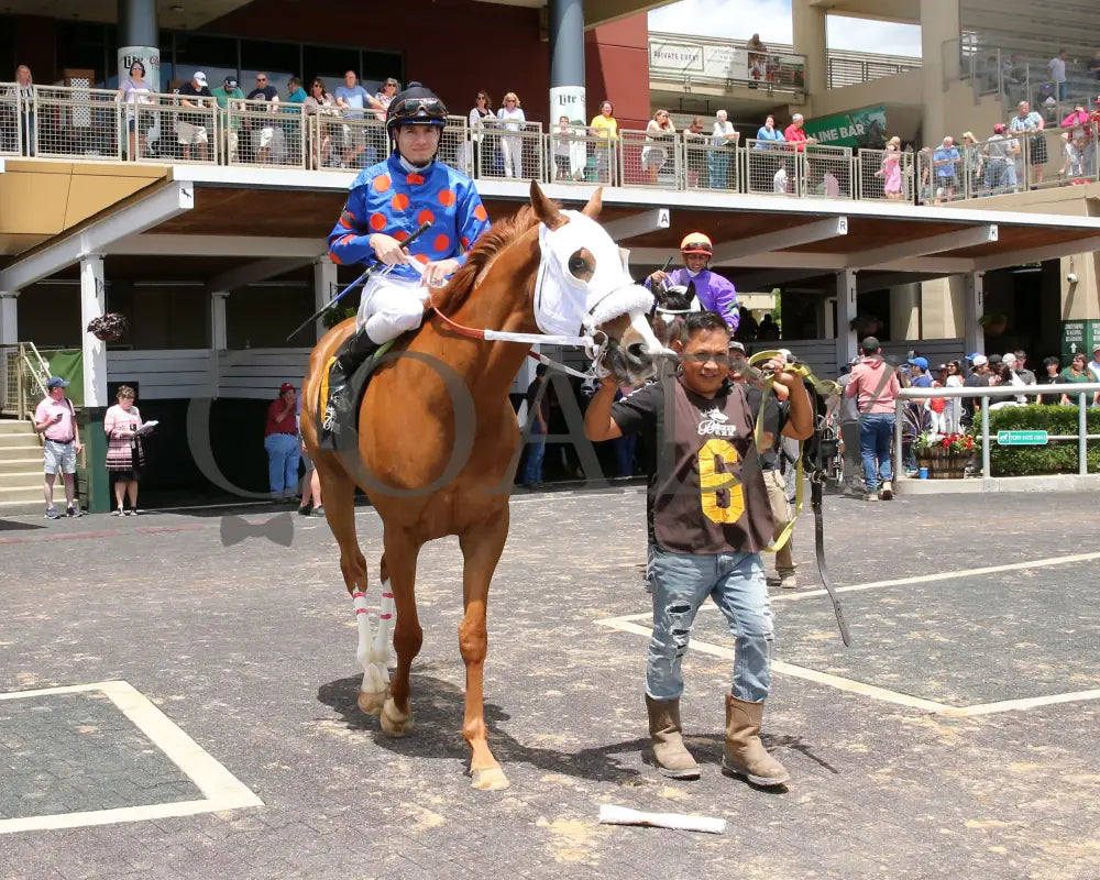Henry Mac - Sydney Gendelman Stakes 06-07-24 R05 Btp Paddock 01 Belterra Park