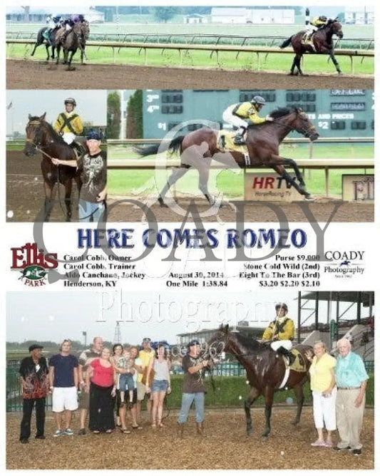 Here Comes Romeo - 083014 Race 03 Elp Ellis Park