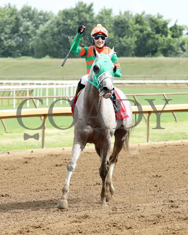 Here Mi Song - The Jeff Hall Memorial Stakes 07-21-24 R08 Elp Come Back 01 Ellis Park