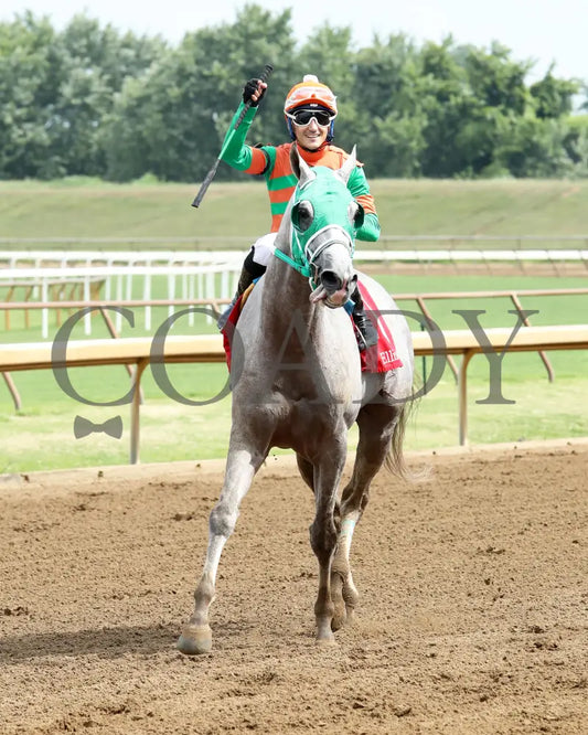 Here Mi Song - The Jeff Hall Memorial Stakes 07-21-24 R08 Elp Come Back 01 Ellis Park