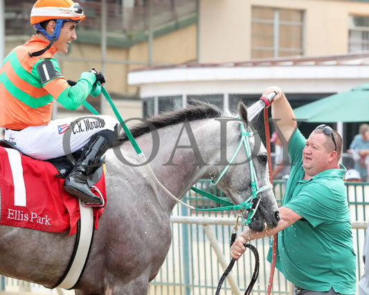 Here Mi Song - The Jeff Hall Memorial Stakes 07-21-24 R08 Elp Come Back 04 Ellis Park