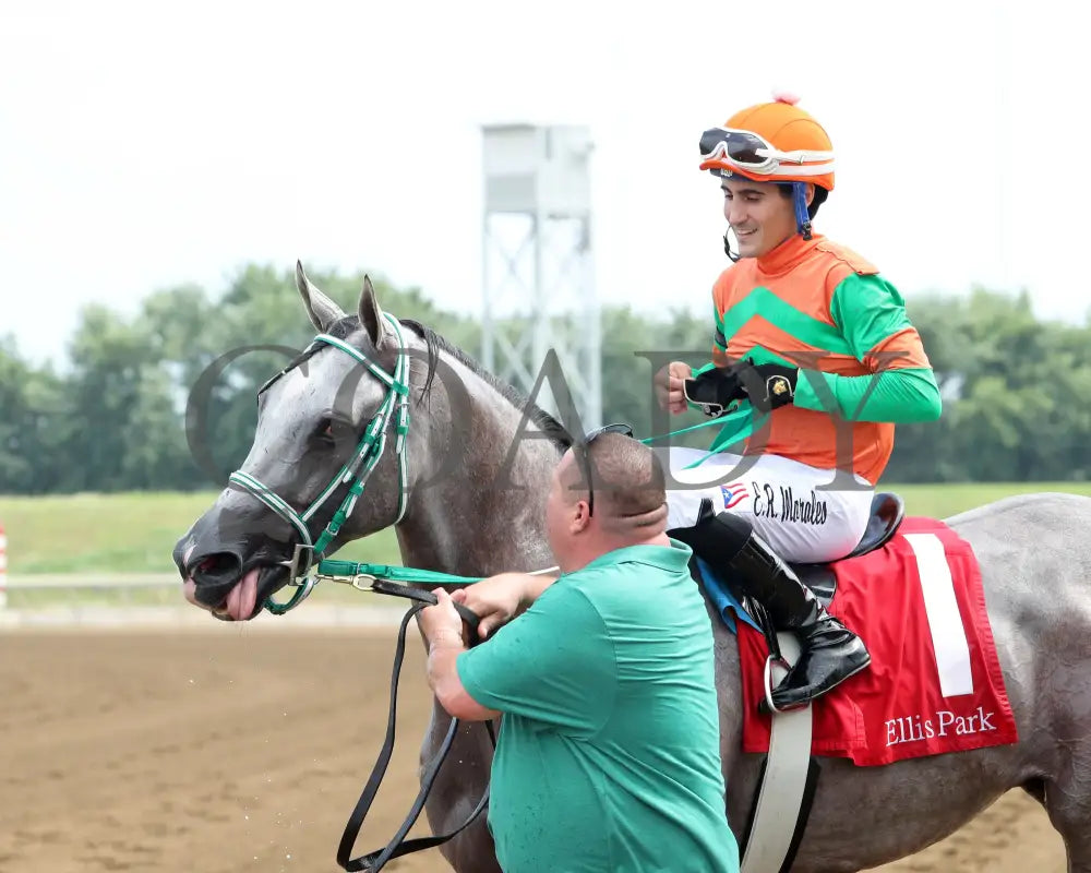 Here Mi Song - The Jeff Hall Memorial Stakes 07-21-24 R08 Elp Come Back 05 Ellis Park