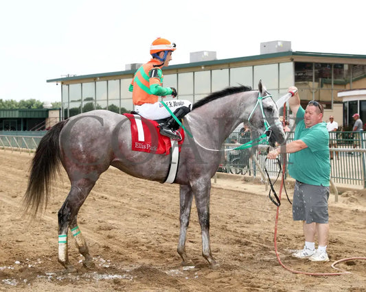 Here Mi Song - The Jeff Hall Memorial Stakes 07-21-24 R08 Elp Come Back 06 Ellis Park