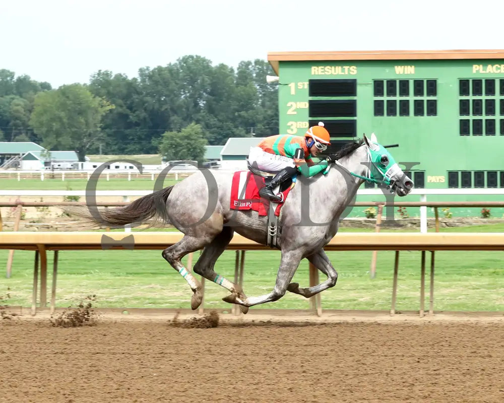 Here Mi Song - The Jeff Hall Memorial Stakes 07-21-24 R08 Elp Finish 01 Ellis Park