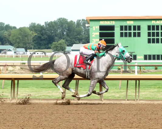 Here Mi Song - The Jeff Hall Memorial Stakes 07-21-24 R08 Elp Finish 01 Ellis Park