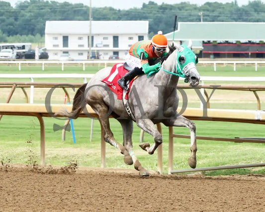 Here Mi Song - The Jeff Hall Memorial Stakes 07-21-24 R08 Elp Finish 02 Ellis Park