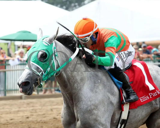 Here Mi Song - The Jeff Hall Memorial Stakes 07-21-24 R08 Elp Inside Finish 01 Ellis Park