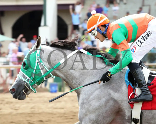 Here Mi Song - The Jeff Hall Memorial Stakes 07-21-24 R08 Elp Inside Finish 02 Ellis Park