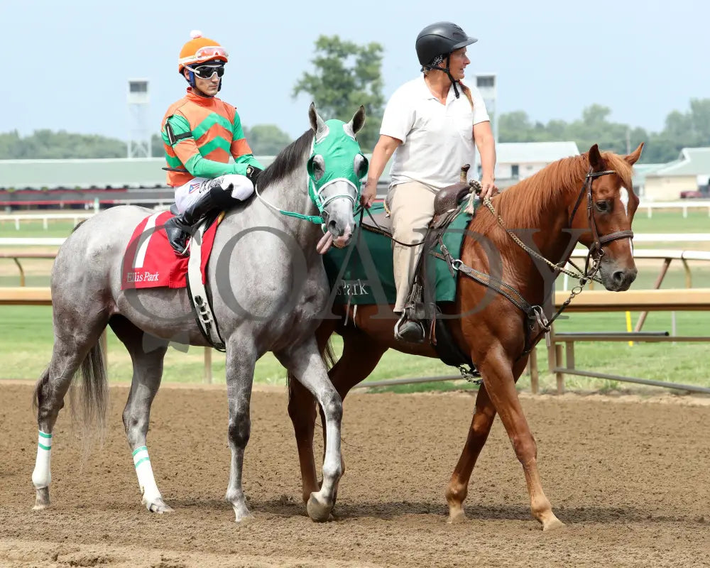 Here Mi Song - The Jeff Hall Memorial Stakes 07-21-24 R08 Elp Post Parade 01 Ellis Park
