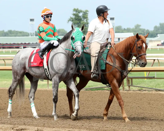 Here Mi Song - The Jeff Hall Memorial Stakes 07-21-24 R08 Elp Post Parade 01 Ellis Park