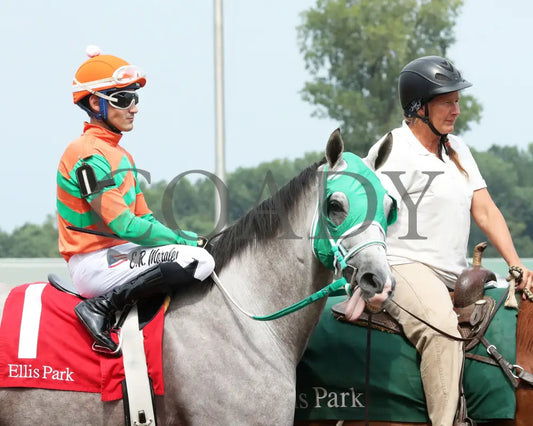 Here Mi Song - The Jeff Hall Memorial Stakes 07-21-24 R08 Elp Post Parade 02 Ellis Park