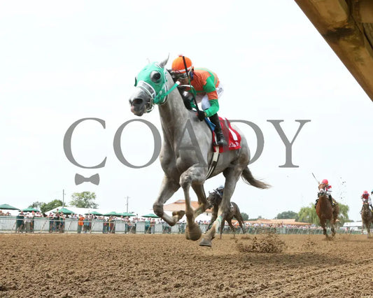 Here Mi Song - The Jeff Hall Memorial Stakes 07-21-24 R08 Elp Under Rail 01 Ellis Park