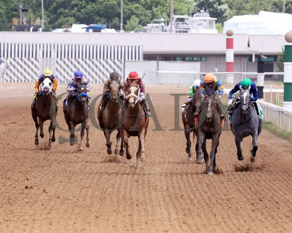 Here’s The Spider - Norm Barron Queen City Oaks 06-07-24 R04 Btp Head On 01 Belterra Park