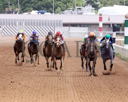 Here’s The Spider - Norm Barron Queen City Oaks 06-07-24 R04 Btp Head On 01 Belterra Park