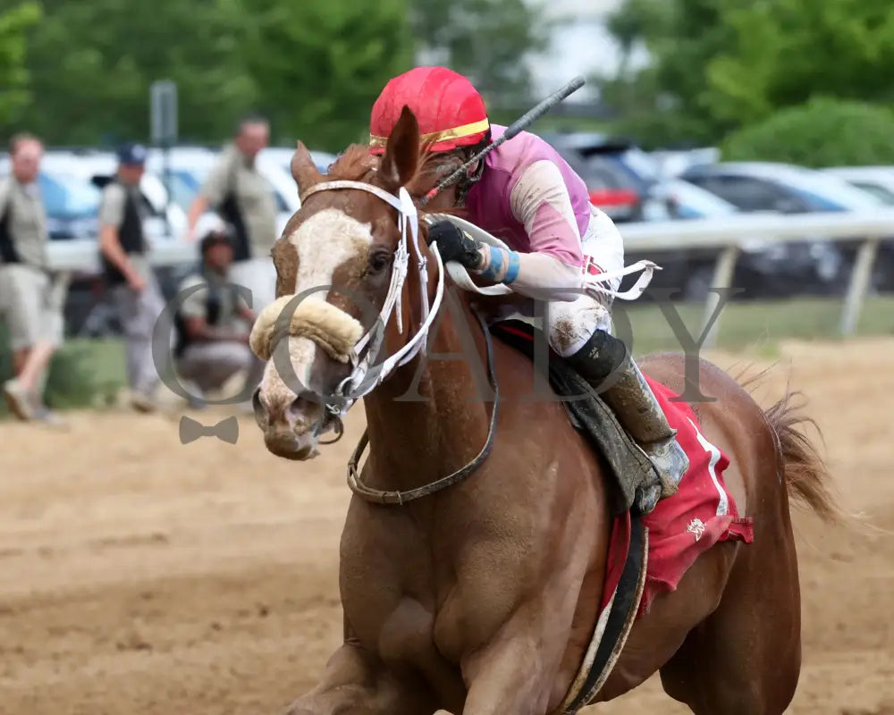 Here’s The Spider - Norm Barron Queen City Oaks 06-07-24 R04 Btp Inside Finish 01 Belterra Park
