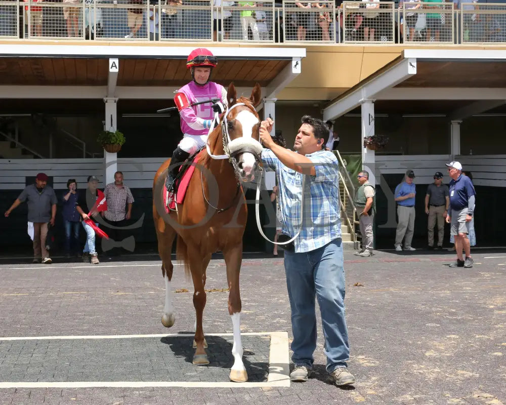 Here’s The Spider - Norm Barron Queen City Oaks 06-07-24 R04 Btp Paddock 01 Belterra Park