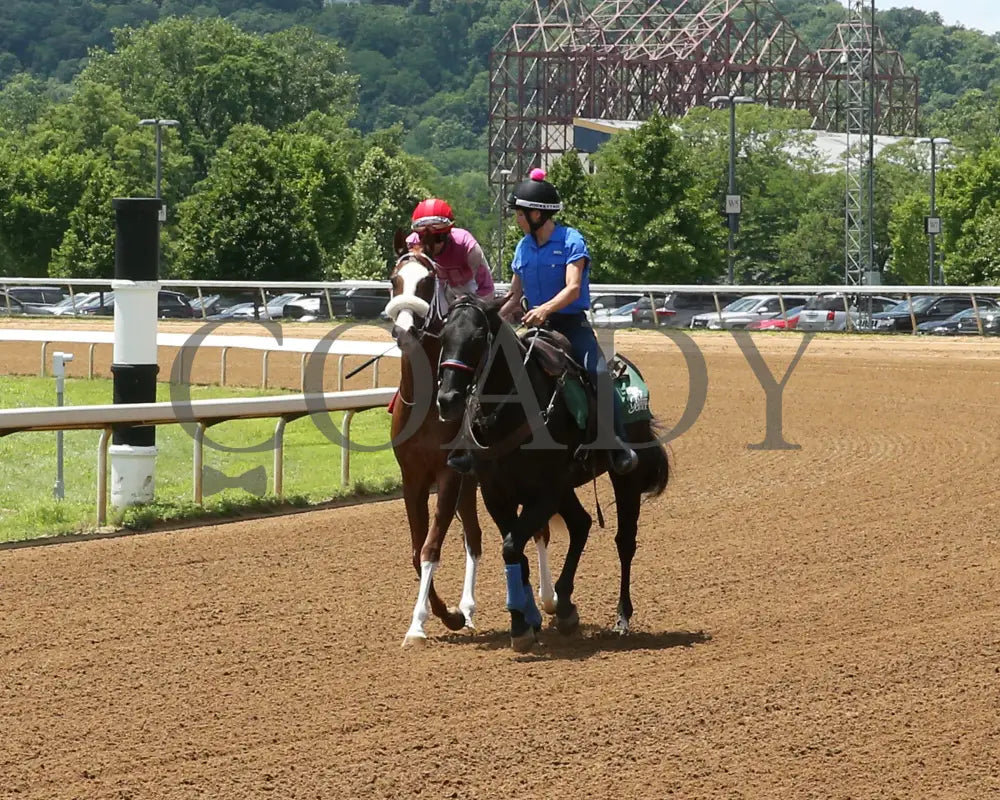 Here’s The Spider - Norm Barron Queen City Oaks 06-07-24 R04 Btp Post Parade 01 Belterra Park