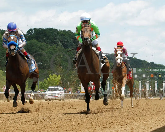 Here’s The Spider - Norm Barron Queen City Oaks 06-07-24 R04 Btp Start 02 Belterra Park
