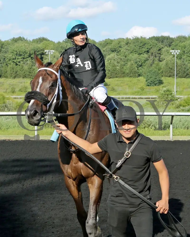 HE’S A MESS - The Hard Spun Stakes - 16th Running - 07-21-25 - R07 - PID - Comeback Presque Isle Downs