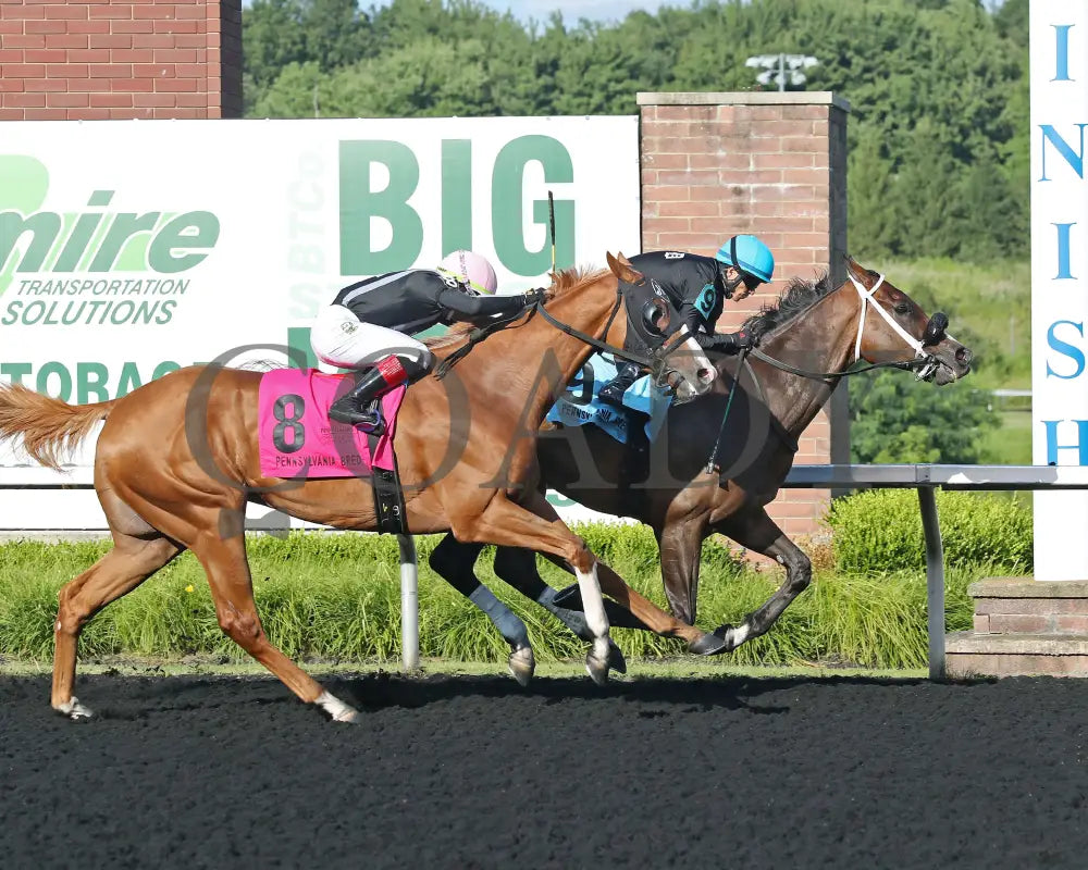 HE’S A MESS - The Hard Spun Stakes - 16th Running - 07-21-25 - R07 - PID - Finish Presque Isle Downs
