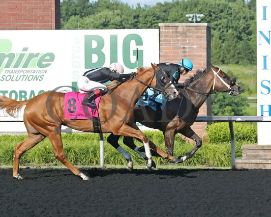 HE’S A MESS - The Hard Spun Stakes - 16th Running - 07-21-25 - R07 - PID - Finish Presque Isle Downs