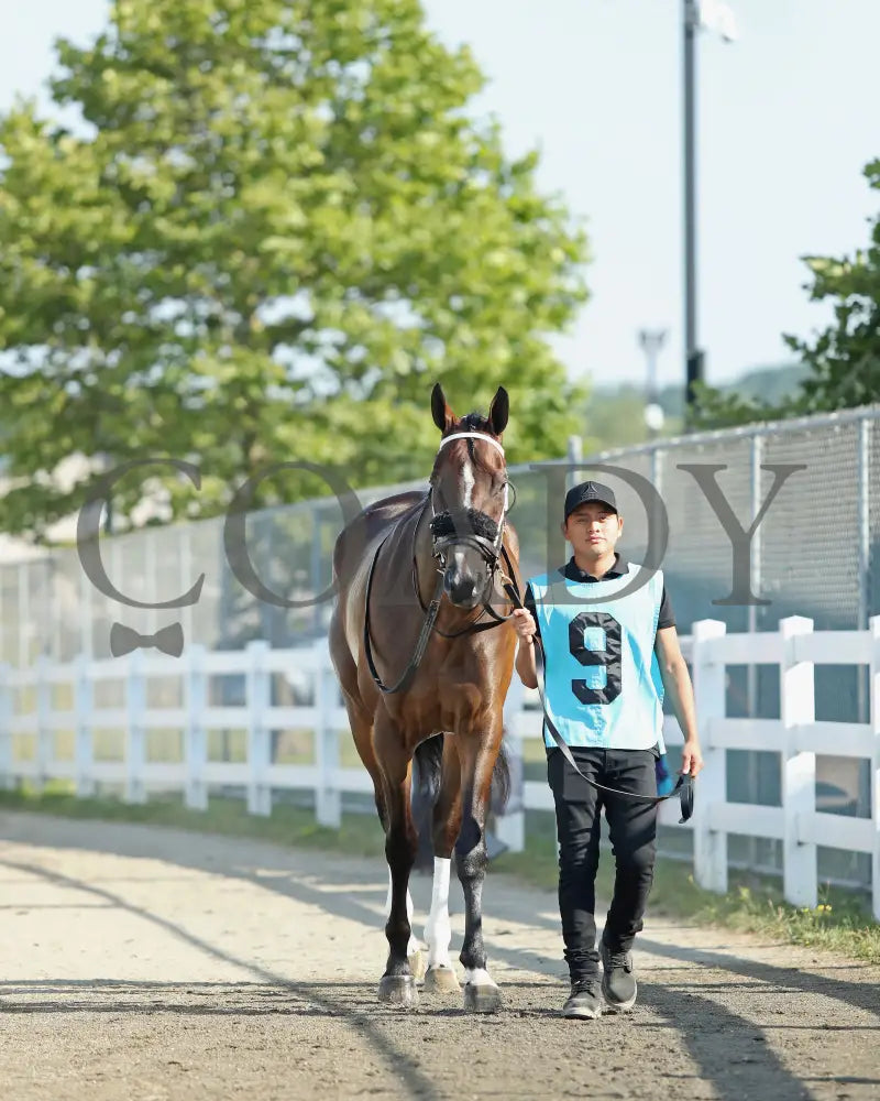 HE’S A MESS - The Hard Spun Stakes - 16th Running - 07-21-25 - R07 - PID - Paddock 01 Presque Isle Downs