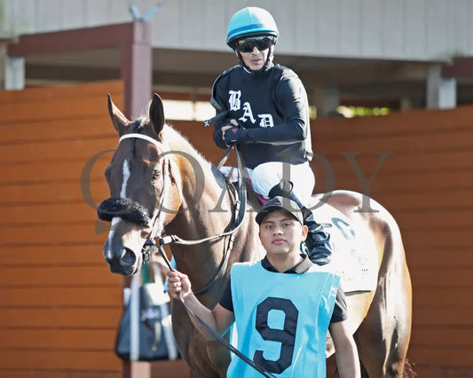 HE’S A MESS - The Hard Spun Stakes - 16th Running - 07-21-25 - R07 - PID - Paddock 07 Presque Isle Downs