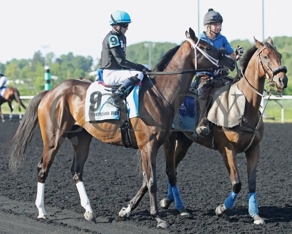 HE’S A MESS - The Hard Spun Stakes - 16th Running - 07-21-25 - R07 - PID - Post Parade 01 Presque Isle Downs