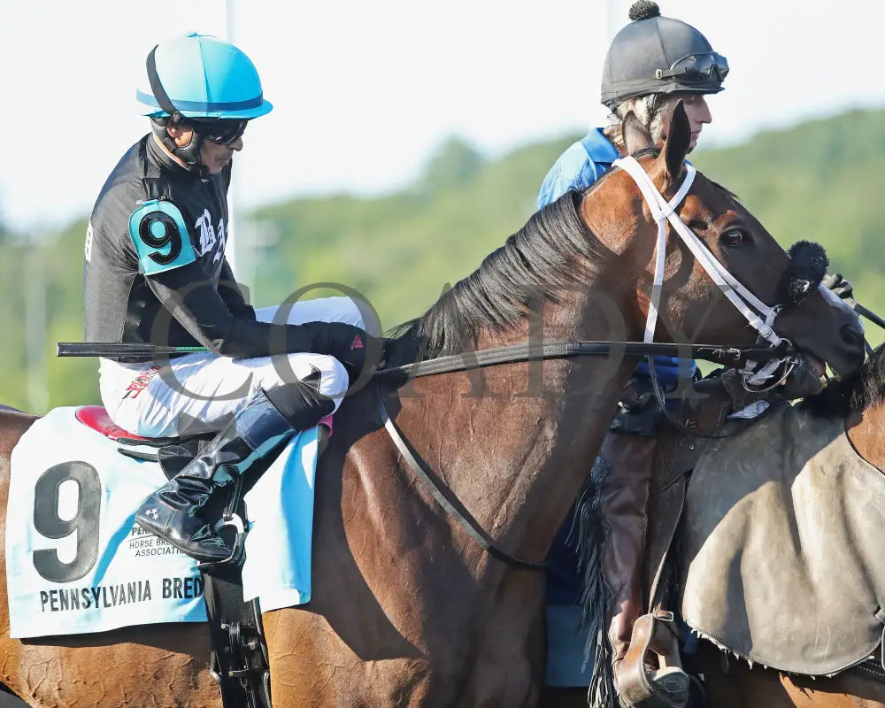 HE’S A MESS - The Hard Spun Stakes - 16th Running - 07-21-25 - R07 - PID - Post Parade 02 Presque Isle Downs