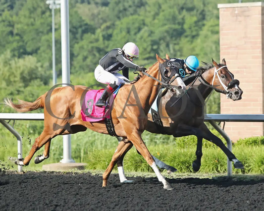 HE’S A MESS - The Hard Spun Stakes - 16th Running - 07-21-25 - R07 - PID - Tight Finish Presque Isle Downs