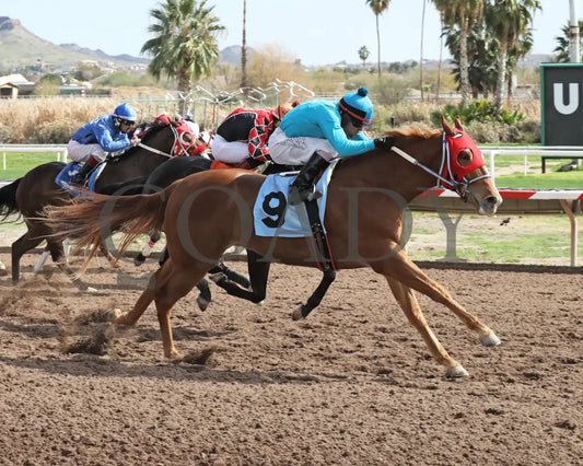 Hes My Sweetheart - Turf Paradise Maiden Stakes 02-21-24 R02 Finish